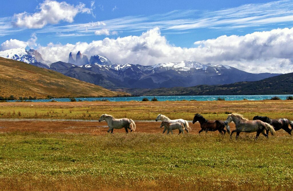 Viaggio in Patagonia