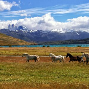Viaggio in Patagonia